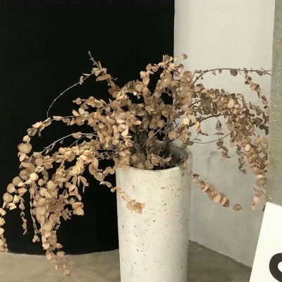 Furry创作素材整理福瑞群